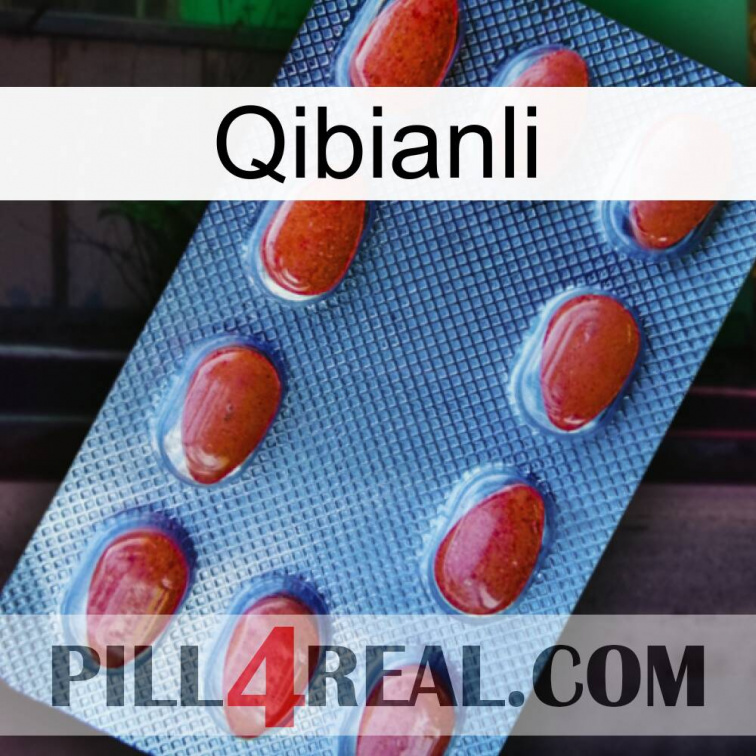 Qibianli 06